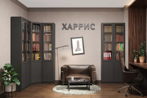 Библиотека Харрис в Нижневартовске - nizhnevartovsk.mebel-tymen.ru | фото