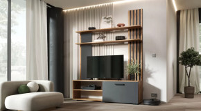 Гостиная Каролина Дуб Вотан/Графит в Нижневартовске - nizhnevartovsk.mebel-tymen.ru | фото