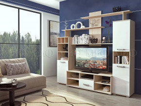 Гостиная Мини-2 в Нижневартовске - nizhnevartovsk.mebel-tymen.ru | фото