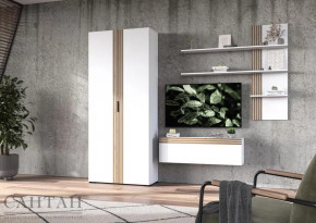 Гостиная НАО-Моно №10 в Нижневартовске - nizhnevartovsk.mebel-tymen.ru | фото