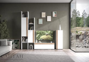 Гостиная НАО-Моно №3 в Нижневартовске - nizhnevartovsk.mebel-tymen.ru | фото