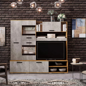 Гостиная Трамп ЦС-05 в Нижневартовске - nizhnevartovsk.mebel-tymen.ru | фото