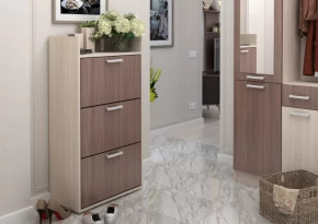 Обувница №2 Дели в Нижневартовске - nizhnevartovsk.mebel-tymen.ru | фото