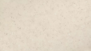 Панель пристенная 6х600х3000 в Нижневартовске - nizhnevartovsk.mebel-tymen.ru | фото