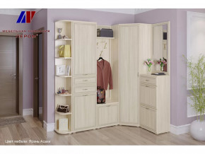 Прихожая Карина набор 5 в Нижневартовске - nizhnevartovsk.mebel-tymen.ru | фото