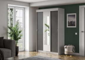 Шкаф-купе Бассо в Нижневартовске - nizhnevartovsk.mebel-tymen.ru | фото