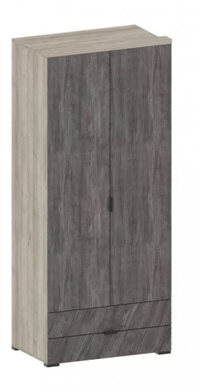 Шкаф Шаде ШК-2905 в Нижневартовске - nizhnevartovsk.mebel-tymen.ru | фото