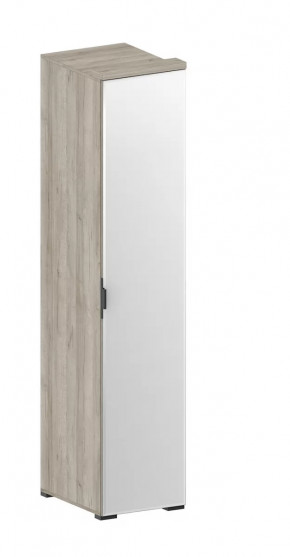 Шкаф Шаде ШК-2912 в Нижневартовске - nizhnevartovsk.mebel-tymen.ru | фото