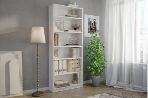 Стеллаж Бильд в Нижневартовске - nizhnevartovsk.mebel-tymen.ru | фото