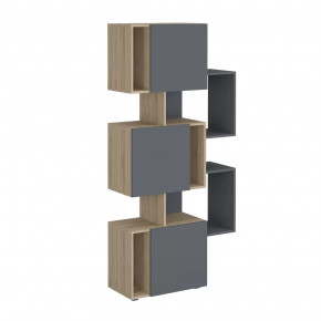 Стеллаж Дублин в Нижневартовске - nizhnevartovsk.mebel-tymen.ru | фото