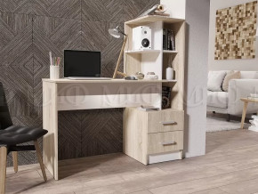 Стол компьютерный №2 в Нижневартовске - nizhnevartovsk.mebel-tymen.ru | фото