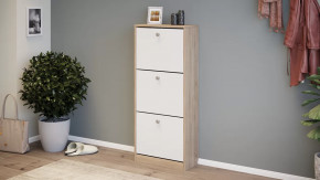 Тумба для обуви «Тетра» Тип 1 Исп. 2 в Нижневартовске - nizhnevartovsk.mebel-tymen.ru | фото